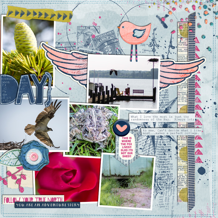 2014 - Week 21 Extra - p2