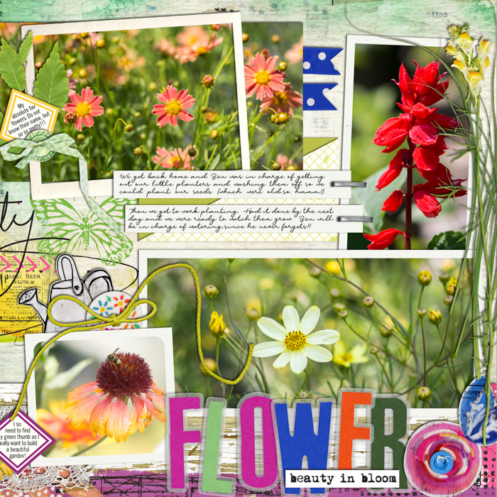 2014 - Week 23 Flowers - p1