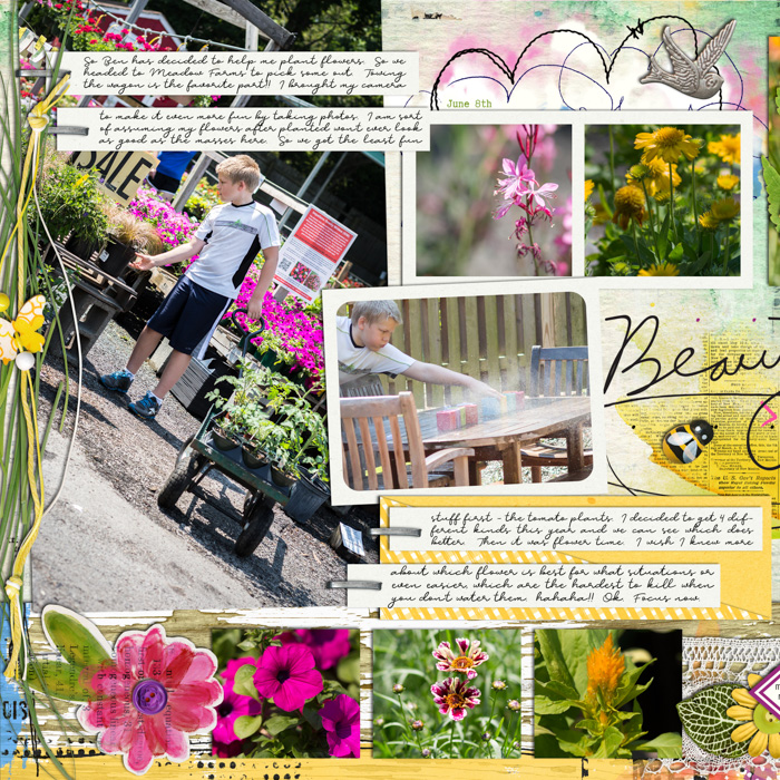 2014 - Week 23 Flowers - p1