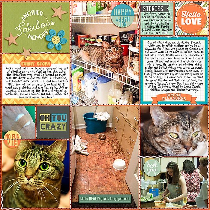 2014 Week 29