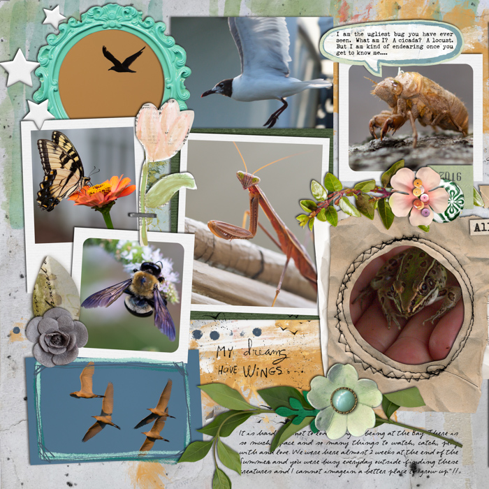 2014 - Week 34 Extra - p1