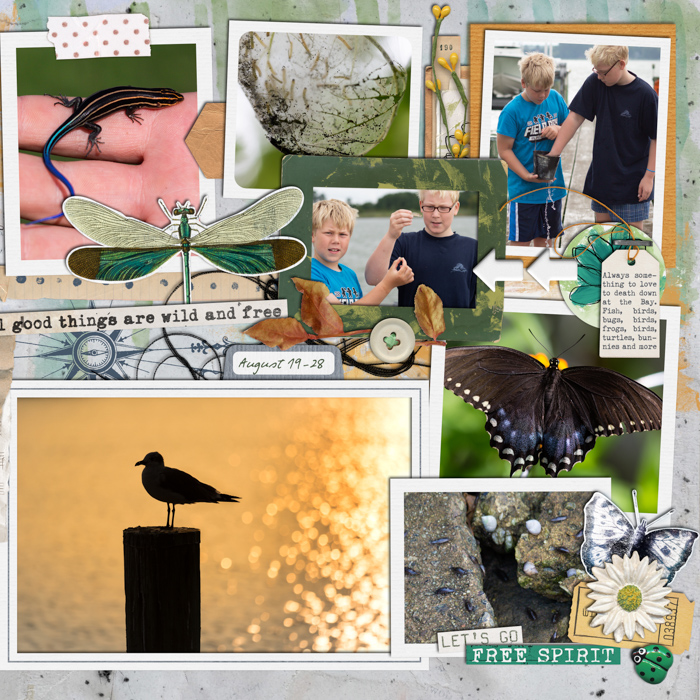 2014 - Week 34 Extra - p2