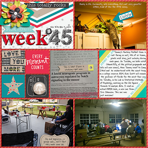2014 Week 45