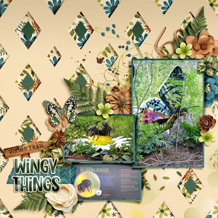 20140531 Wingy Things