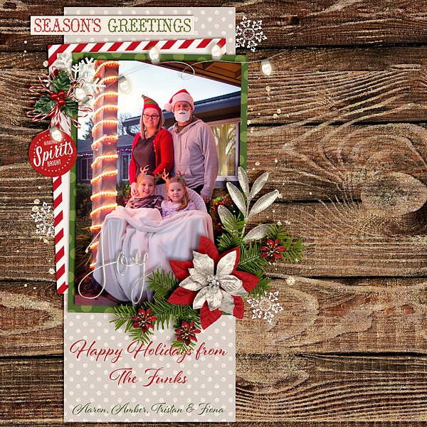 2015 Christmas Card