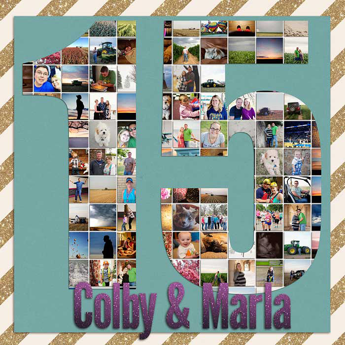 2015 Cover Page