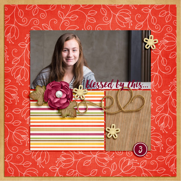 2015 Gratitude Day 3