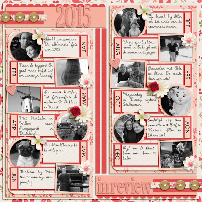 2015 in review