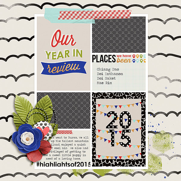 2015 in Review