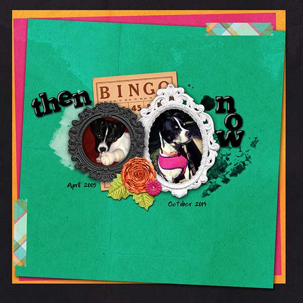 2015 Jan Bingo: Then & Now