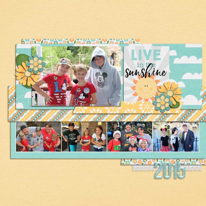 2015 LIVE IN THE SUNSHINE