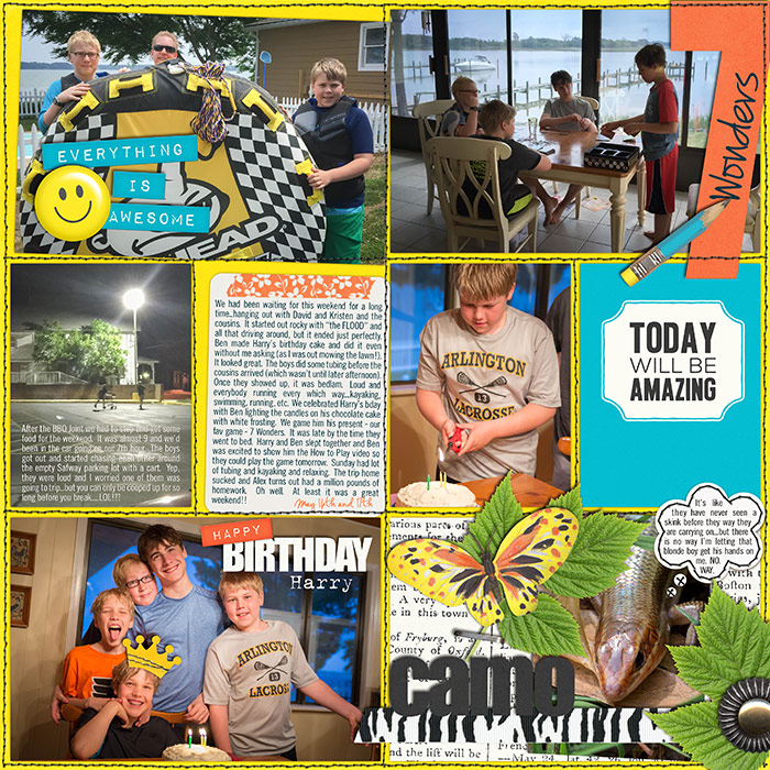 2015 Week 20 (p2)