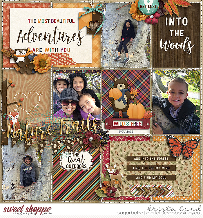 2016 The Great Outdoors
