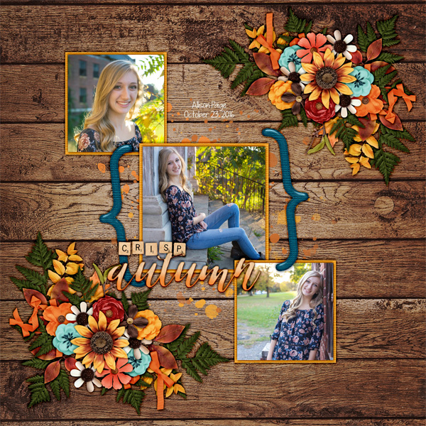 2016_oct_23_allie_dsi_a_crisp_autumn