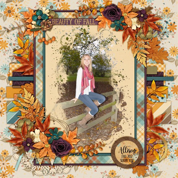 2017 Allie on fence