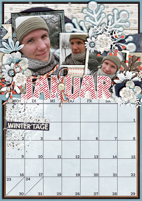 2017 Calendar - January