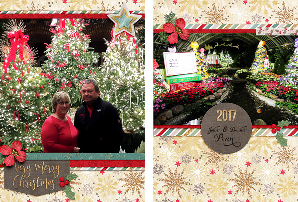 2017 Christmas Card - Front and Back
