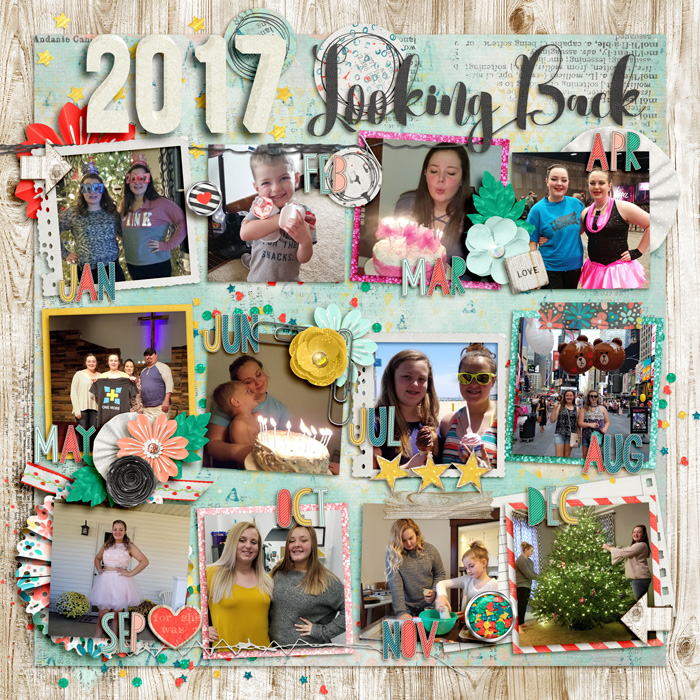 2017 Looking Back