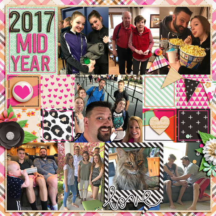 2017 Mid Year Review