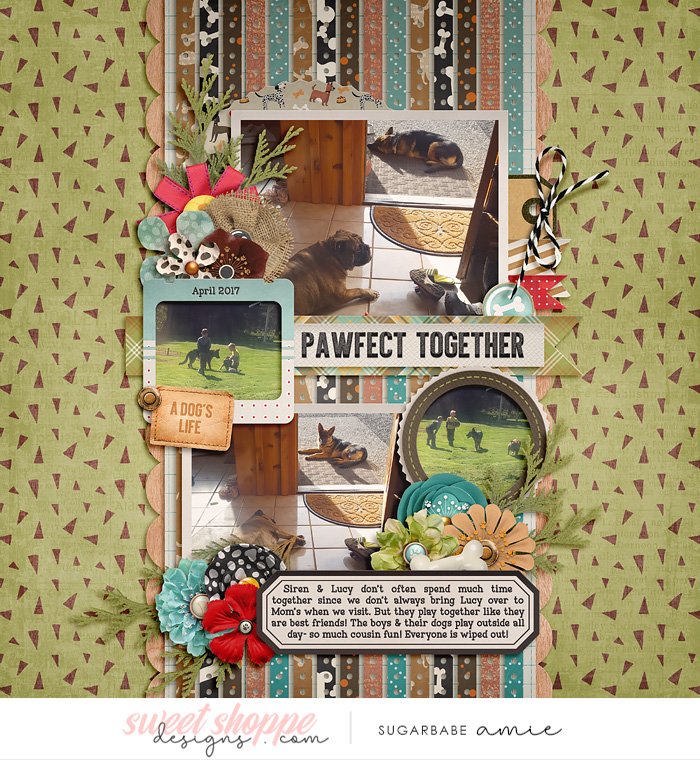 2017_4_Pawfect Together-babe.jpg