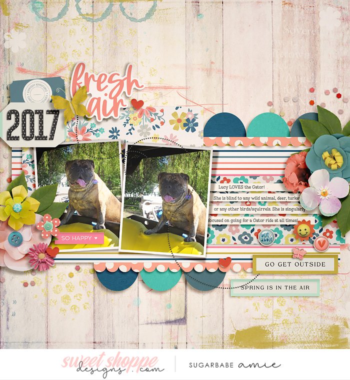 2017_5_Fresh Air-babe.jpg