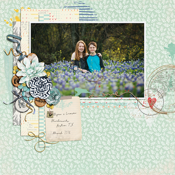 2018 Bluebonnets
