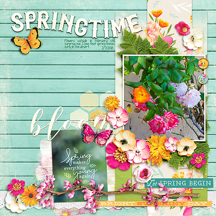 2018 February Spring