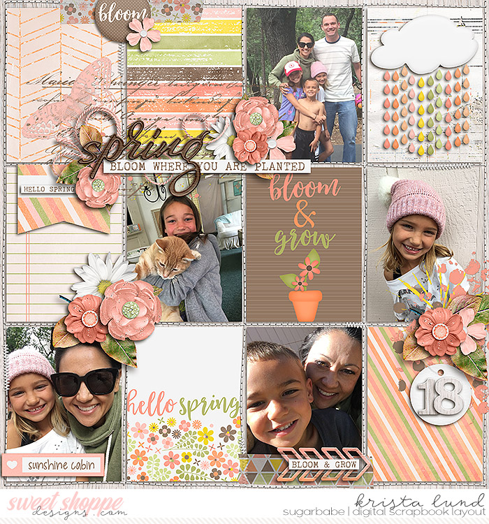 2018 Hello Spring at Sunshine Cabin