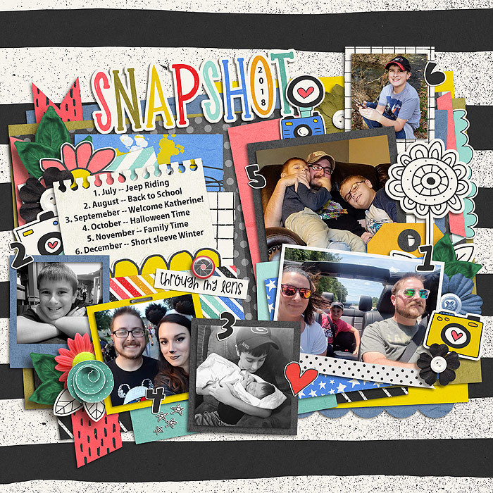 2018 Snapshot