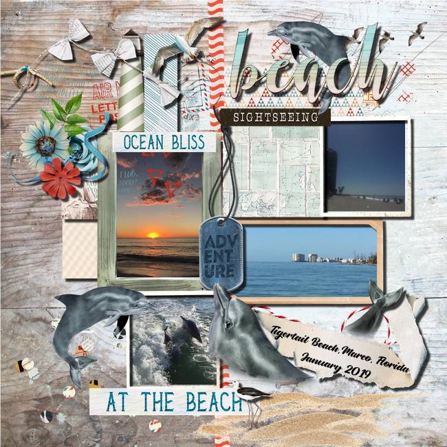 2019 01 Tigertail Beach