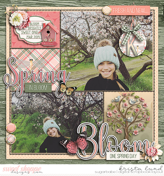 2019 Bloom Sweet One