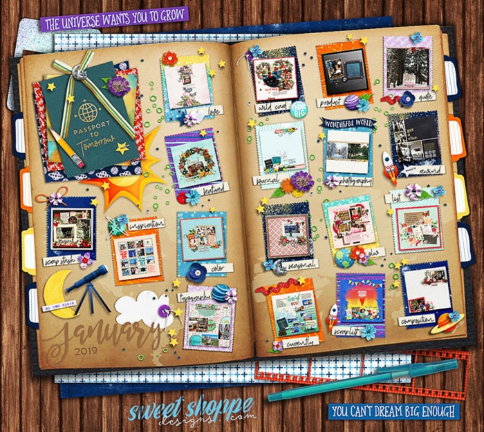 2019 Jan Passport