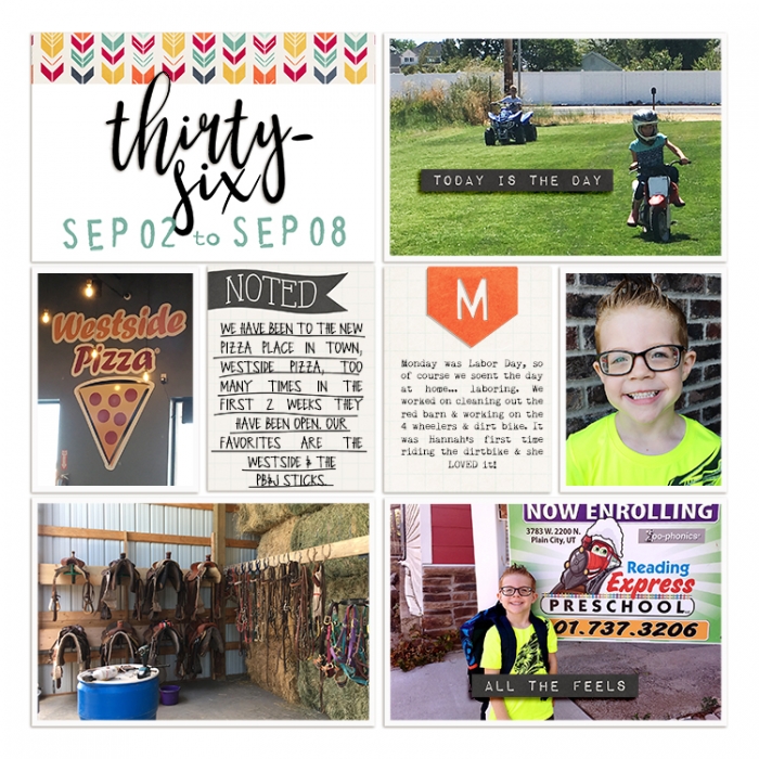 2019 PL Week 36