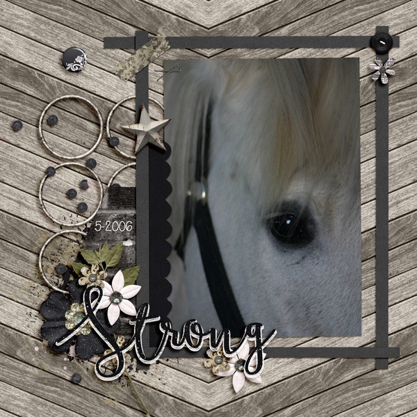 2019_4 passport #4 Inspired by