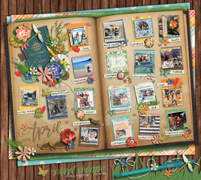 2019_4 passport finished