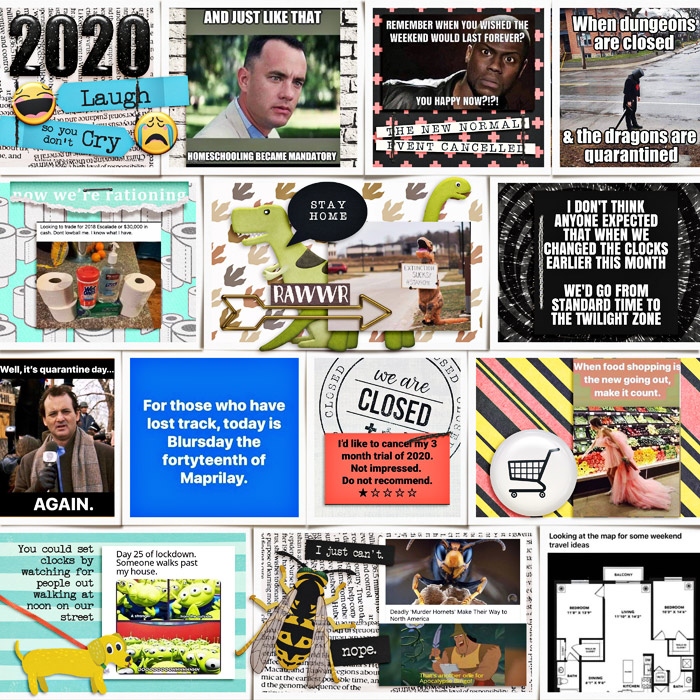 2020 A Year of Memes Pg 1