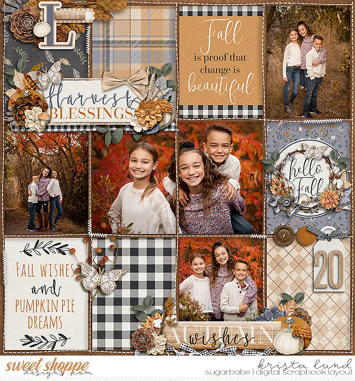 2020 Harvest Blessings