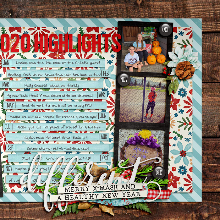 2020 Highlights 2