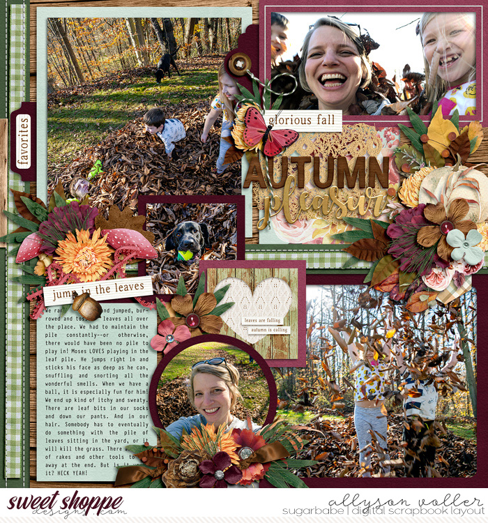 2020 Leaf Pile right