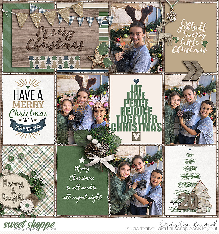 2020 Merry Christmas- bringing Olive home