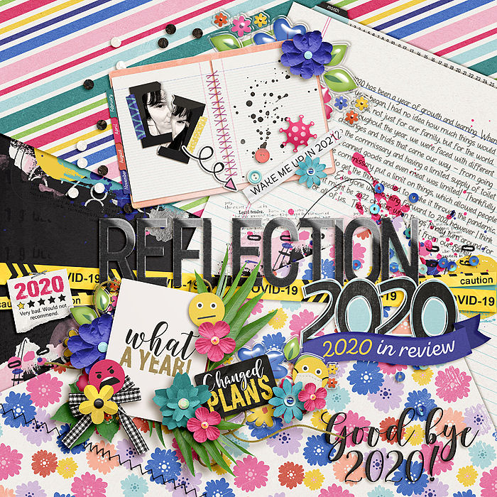2020 Reflection