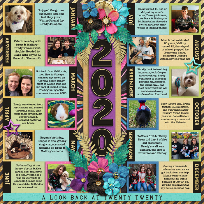 2020 review