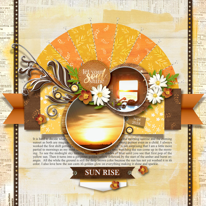 2021 0830 SummerShadowbox
