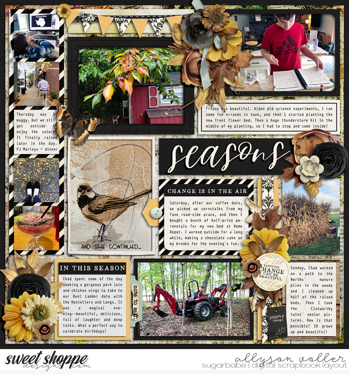 2021 PL 40 week 02