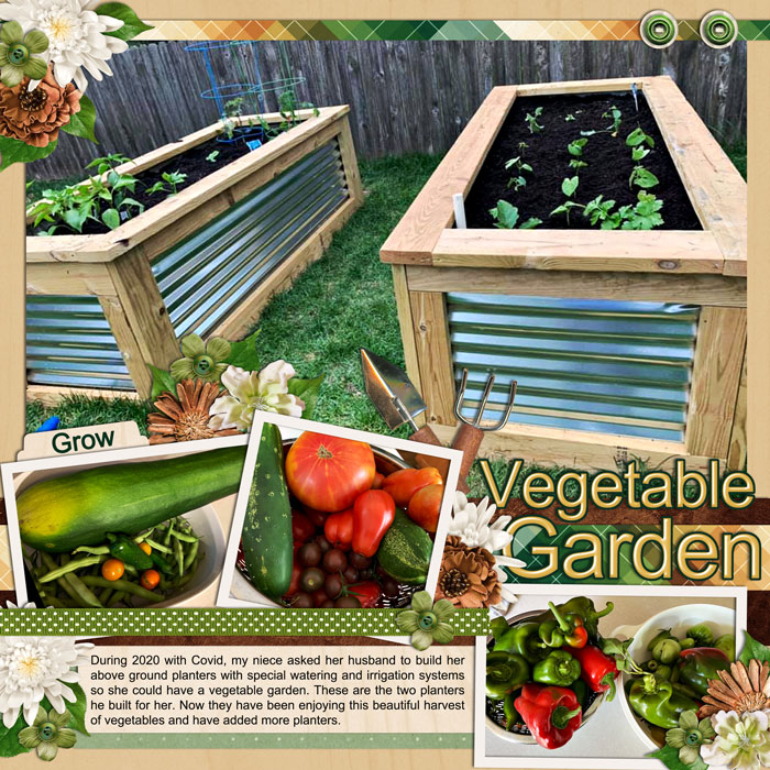 2022 Aug 11 Garden
