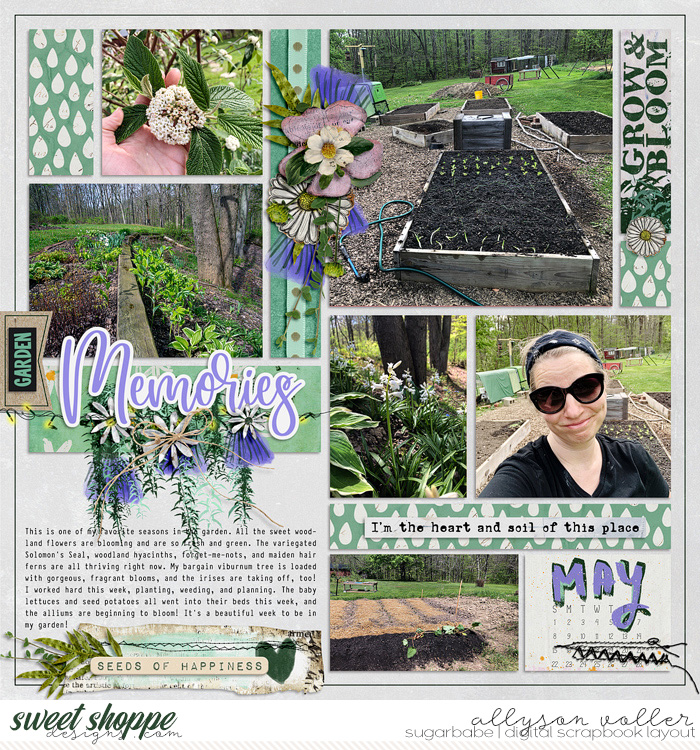 2022 Garden notes week 19 01