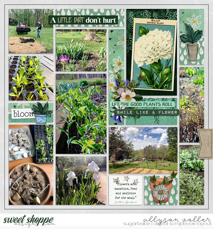 2022 Garden notes week 19 02