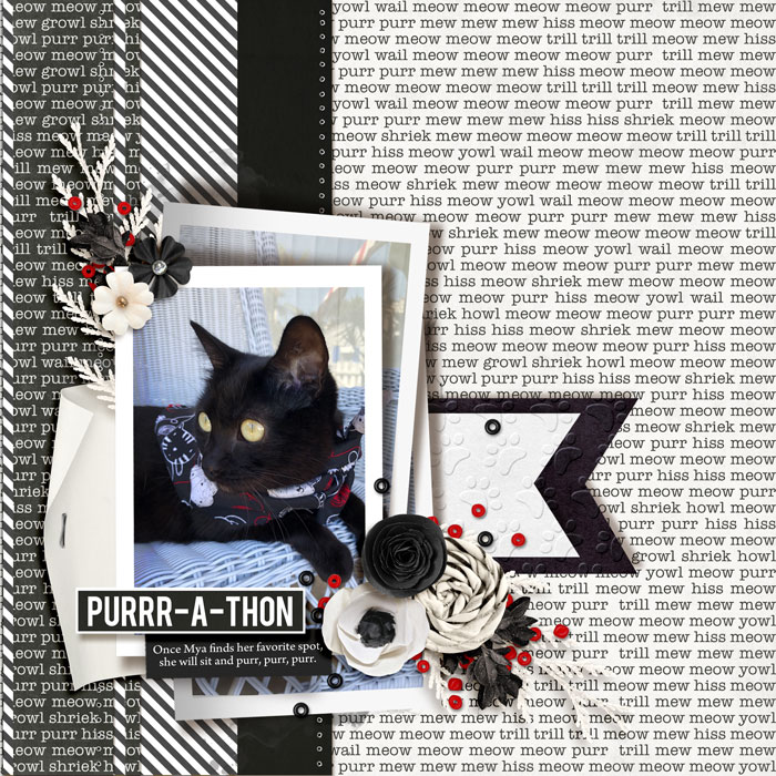 2022 Jul 02 Purr A Thon