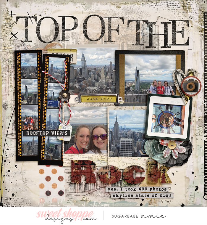 2022_6_top of the rock-babe.jpg