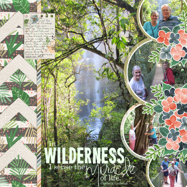 2023-05-11_Wilderness